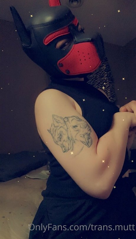 trans mutt OnlyFans Fotos