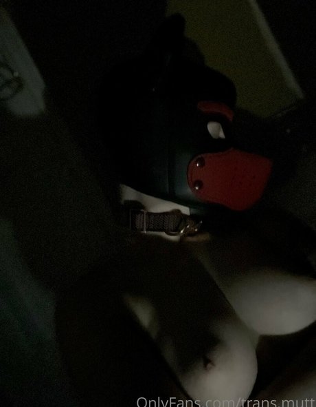 trans mutt OnlyFans Leak