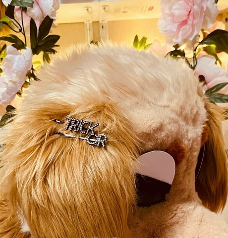 sinner shimmer Nacktbilder von OnlyFans geleakt