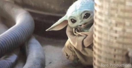 toroproductions Nacktbilder von OnlyFans geleakt