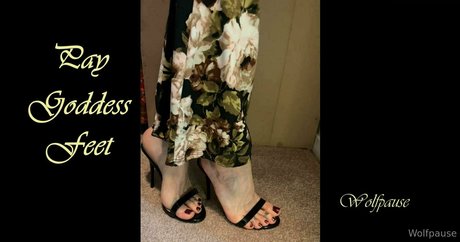 wolfpause OnlyFans Joi