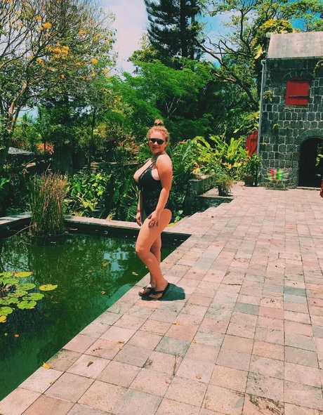 Harley Steins Profilbild