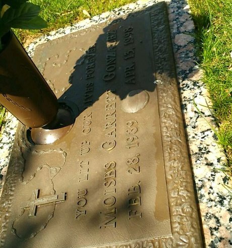 kurvige anal-onlyfans HD Bild