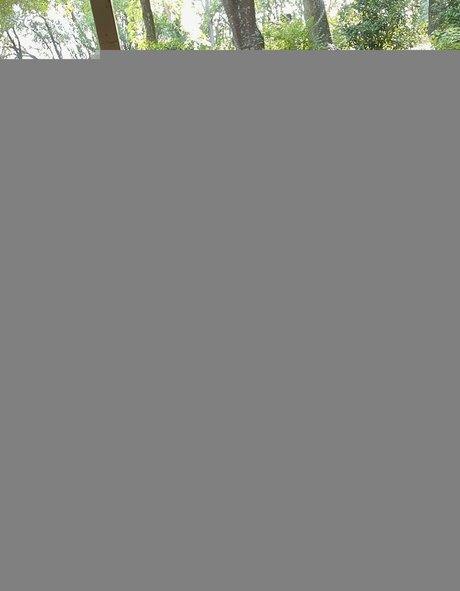 Teddy Mountinho Nacktbilder von OnlyFans geleakt