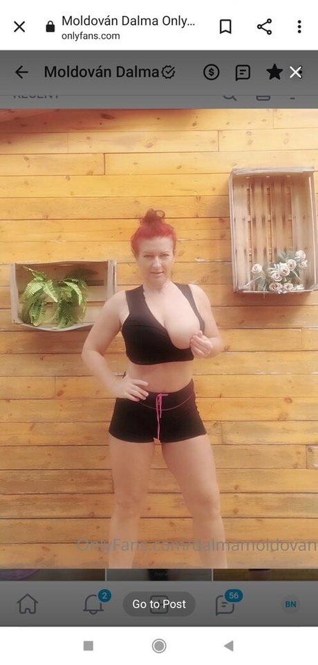 Dalmamoldovan Nacktbilder-Leaks von OnlyFans