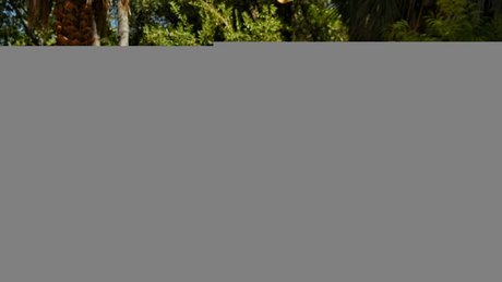 Shantel VanSanten NSFW OnlyFans