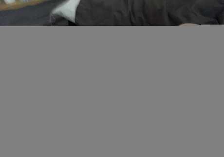 Bruiserbrogan OnlyFans-Leaks