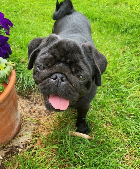 schwarze mädchen nur fans perfekte Foto