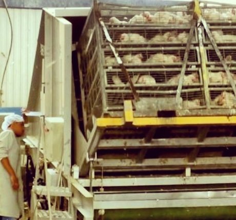 Hadar Ben Haim Nacktbilder OnlyFans Leaks