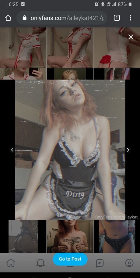 Alleykat421 OnlyFans schlank