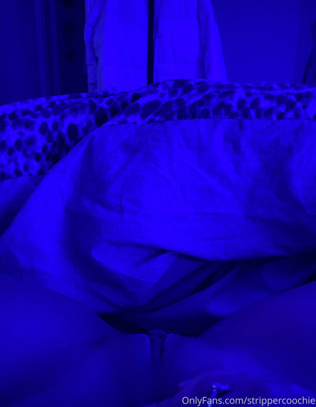 Mel Farahmand Leaked OnlyFans Bilder