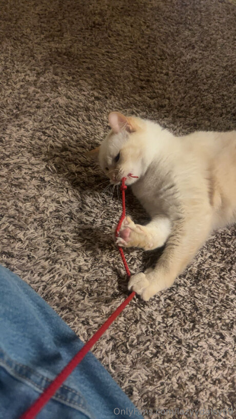 Lazyydaisy69 Leaked Porn OnlyFans