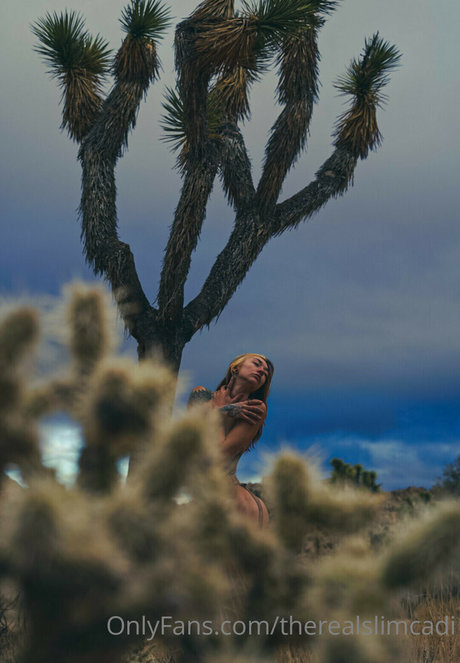 therealslimcadi OnlyFans XXX