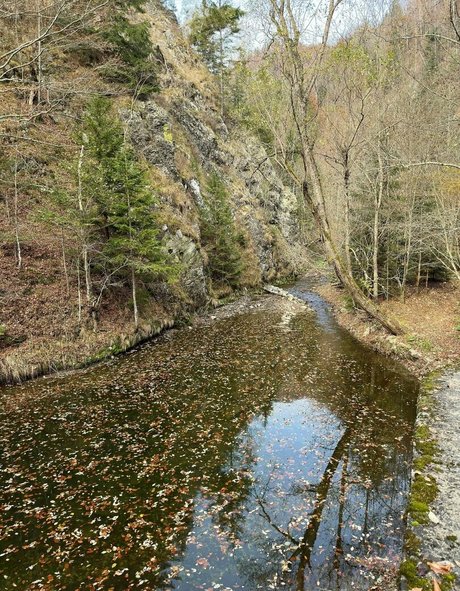 Anisyia_ Nackt Leaks OnlyFans