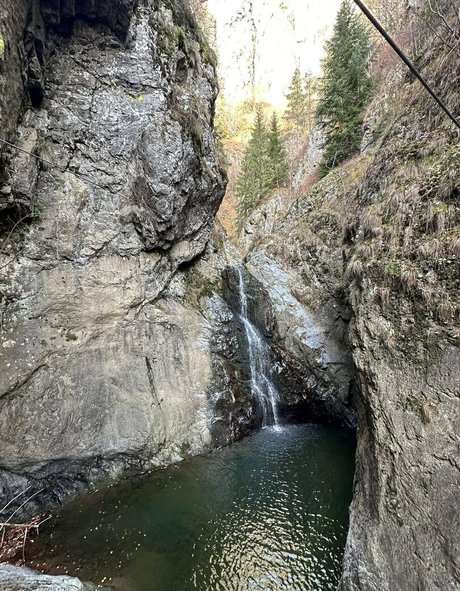 Anisyia_ Strip OnlyFans