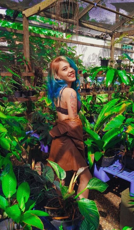 sophya sg OnlyFans Model Fotos