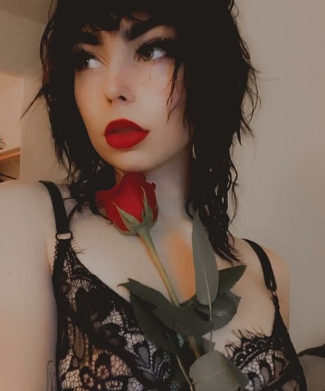 halthewizard OnlyFans-Bilder