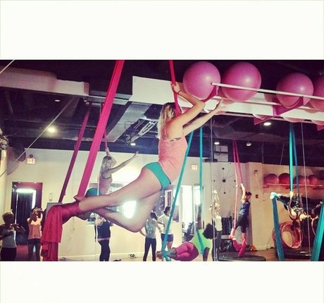 Sieren__Pole Profilbild