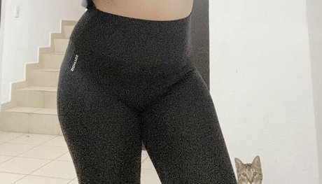 Dani Stocking Nackt OnlyFans