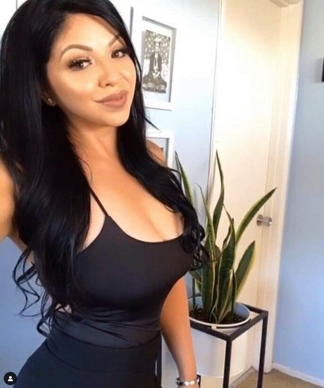 Champagne Chronicles 