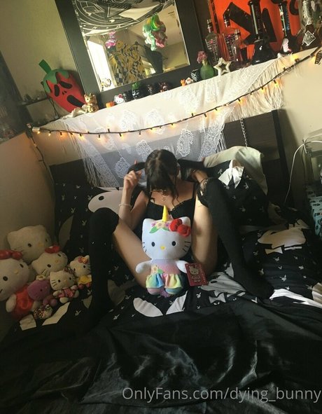 Dying bunny Nacktpornos auf OnlyFans
