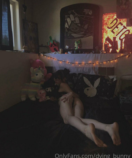 Dying bunny OnlyFans geleakte Pornografie