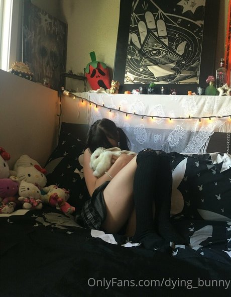 Dying bunny OnlyFans Inhalte