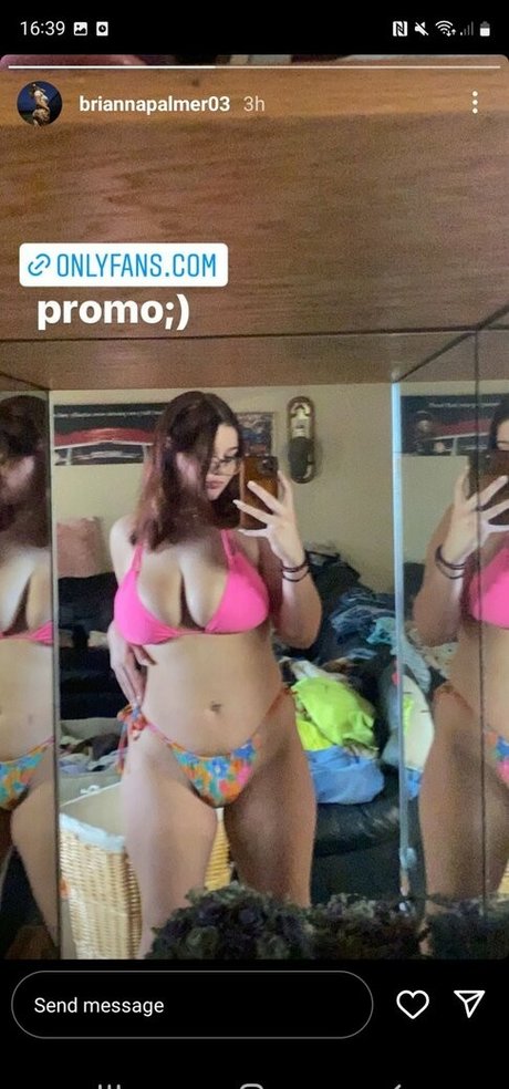 Bripalmer OnlyFans geleakt