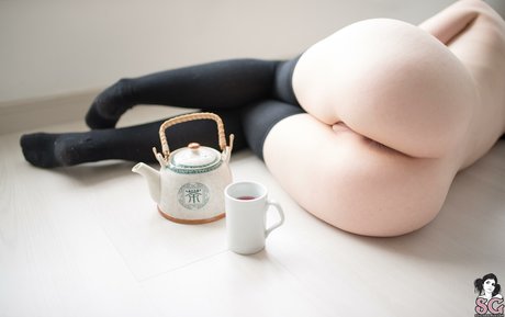 Ariana Steigleder Leak von OnlyFans Pornografie