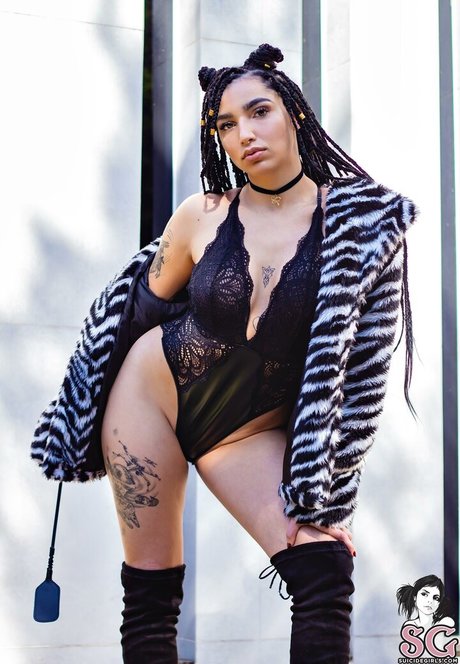 Rennvader OnlyFans Archiv