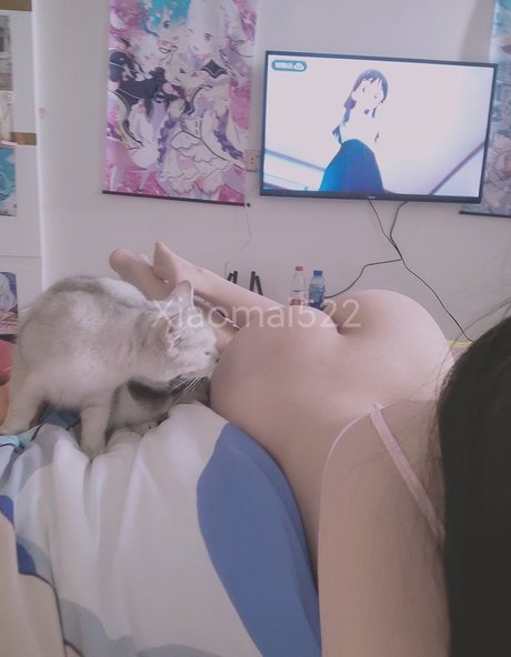 Xiaomai522 Bilder OnlyFans