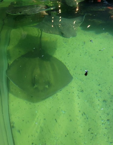 geekikitten Nacktbilder von OnlyFans