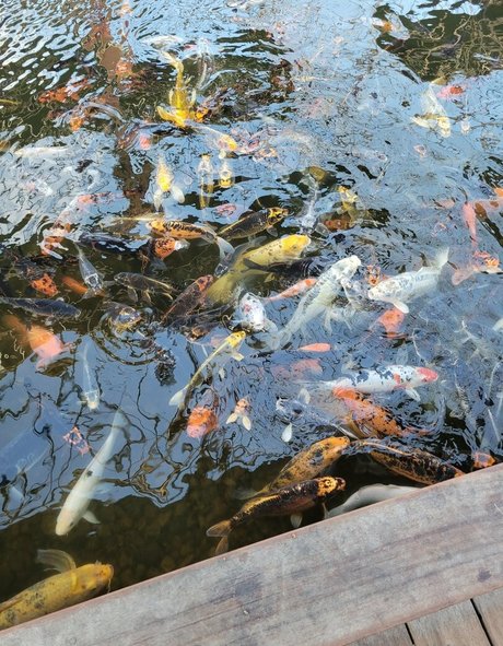 geekikitten Geleakte OnlyFans-Inhalte