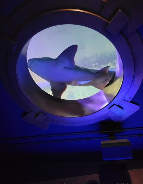 geekikitten OnlyFans Nacktbilder