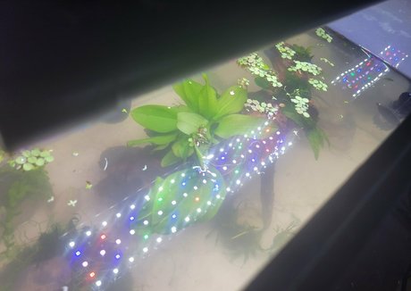 geekikitten Füße OnlyFans