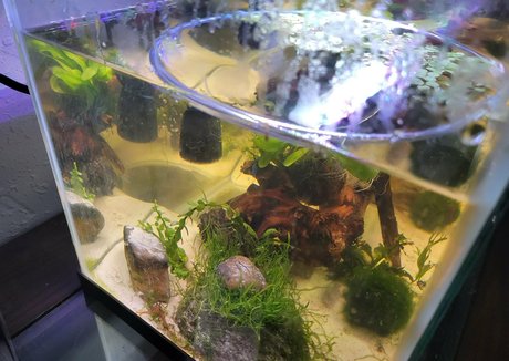 geekikitten OnlyFans Nacktbilder