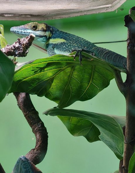 anal creampie onlyfans sexy XXX Portfolio