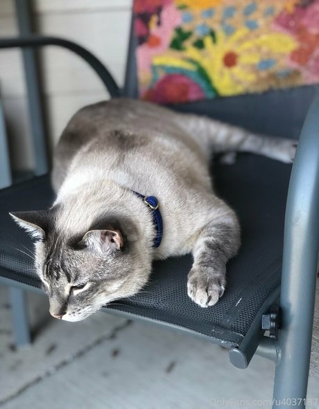 wolf6actual Nackt OnlyFans