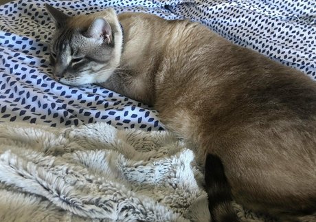 wolf6actual Neues OnlyFans