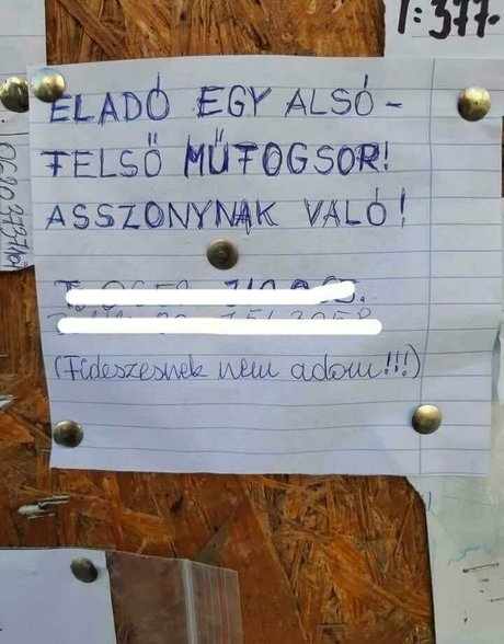 kata31 Strip OnlyFans