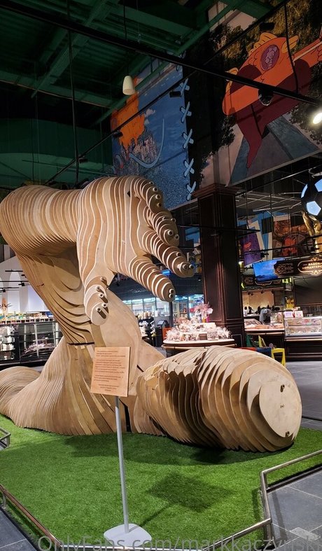 markkaczynski Profilbild