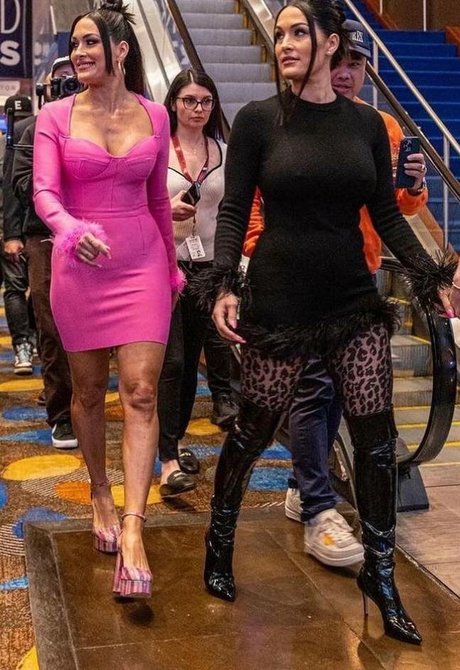 The Bella Twins_ OnlyFans Nackt Leaks