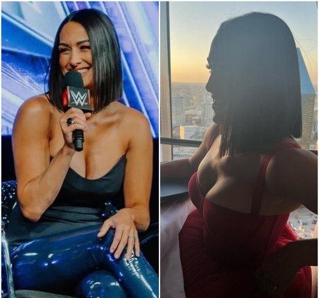 The Bella Twins_ Nacktbilder OnlyFans