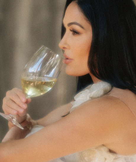 The Bella Twins_ OnlyFans Nackt Leak