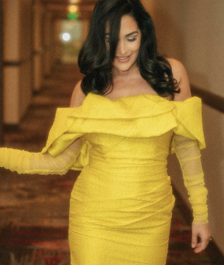 The Bella Twins_ Nacktbilder von OnlyFans geleakt