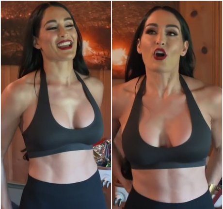 The Bella Twins_ OnlyFans Sex