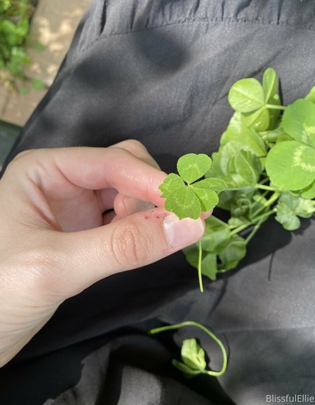 blissfulellie Nacktbilder von OnlyFans