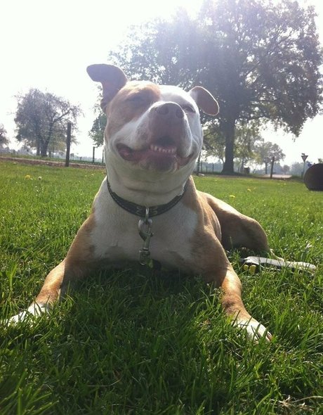 siswetlive OnlyFans Pornografie geleakt