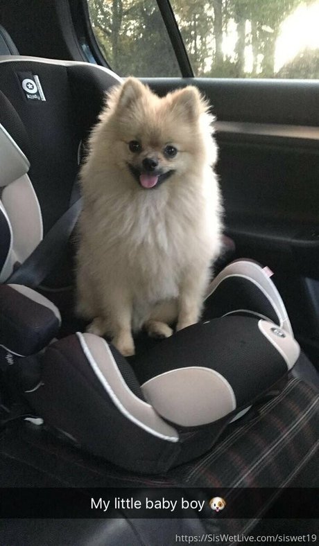 geile asiatische onlyfans hübsch Medien