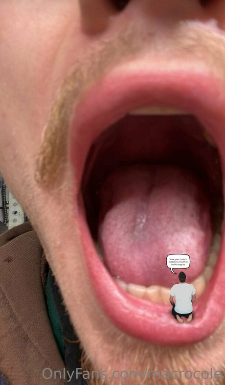 macrocole Profilbild